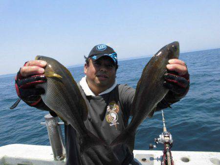 大進丸(愛知) 釣果