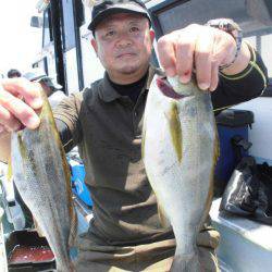 大進丸(愛知) 釣果