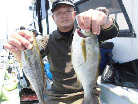 大進丸(愛知) 釣果