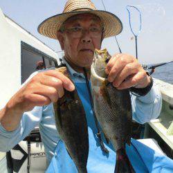 大進丸(愛知) 釣果