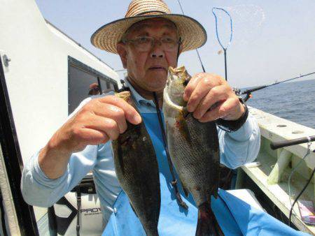 大進丸(愛知) 釣果