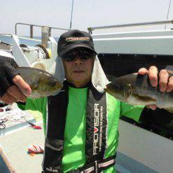 大進丸(愛知) 釣果