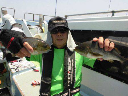 大進丸(愛知) 釣果