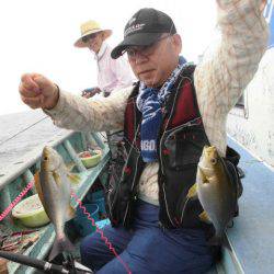 大進丸(愛知) 釣果