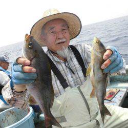 大進丸(愛知) 釣果