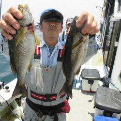 大進丸（愛知） 釣果