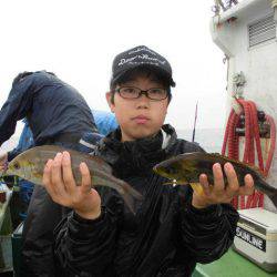 大進丸（愛知） 釣果