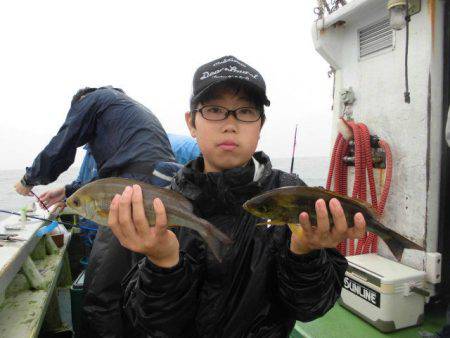 大進丸（愛知） 釣果
