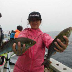 大進丸（愛知） 釣果