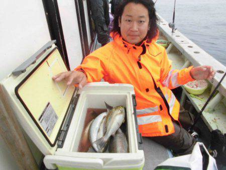 大進丸（愛知） 釣果