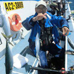 大進丸(愛知) 釣果