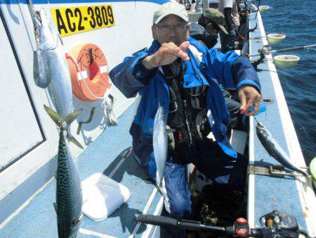 大進丸(愛知) 釣果