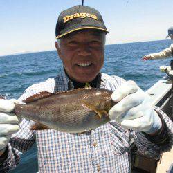 大進丸(愛知) 釣果