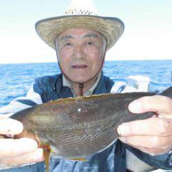 大進丸(愛知) 釣果