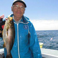 大進丸(愛知) 釣果