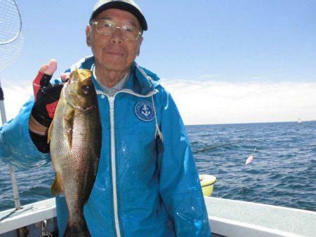 大進丸(愛知) 釣果