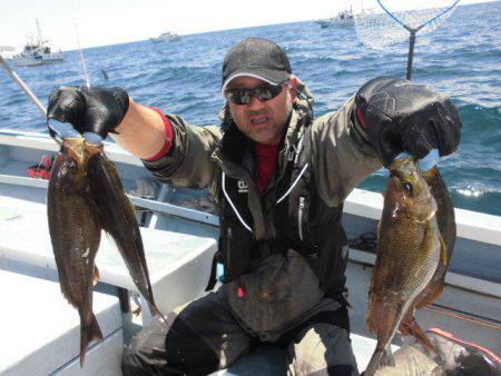 大進丸(愛知) 釣果