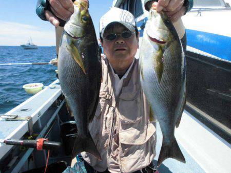 大進丸(愛知) 釣果