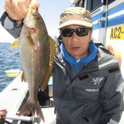 大進丸(愛知) 釣果