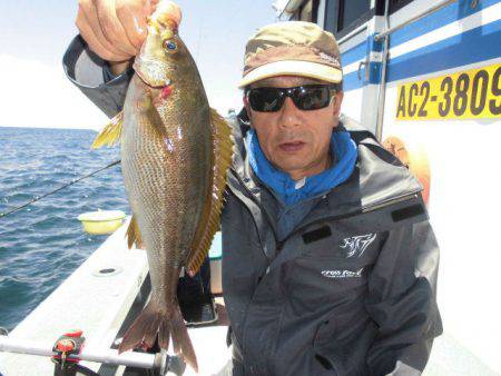 大進丸(愛知) 釣果