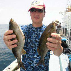 大進丸(愛知) 釣果