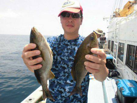 大進丸(愛知) 釣果