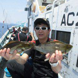 大進丸(愛知) 釣果