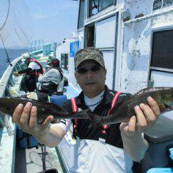 大進丸(愛知) 釣果