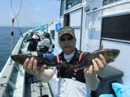大進丸(愛知) 釣果