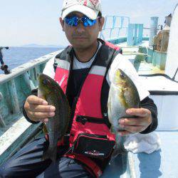 大進丸(愛知) 釣果