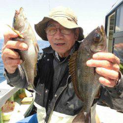 大進丸(愛知) 釣果