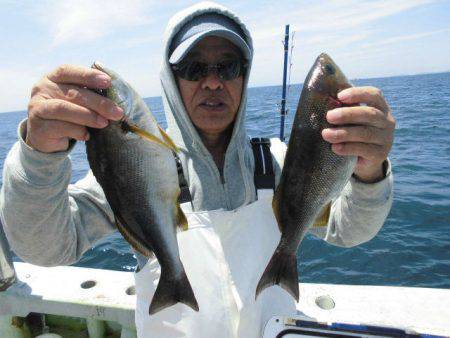 大進丸(愛知) 釣果