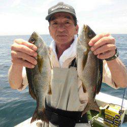 大進丸(愛知) 釣果