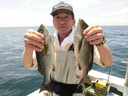 大進丸(愛知) 釣果