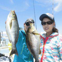 大進丸(愛知) 釣果