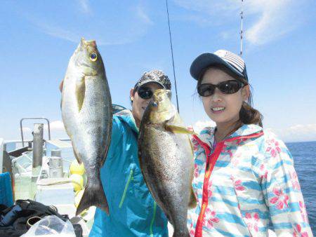 大進丸(愛知) 釣果