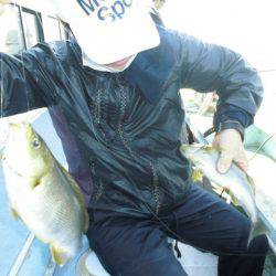 大進丸(愛知) 釣果