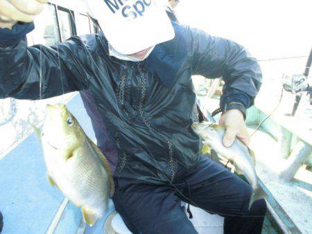 大進丸(愛知) 釣果