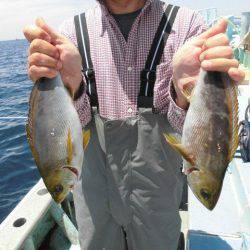 大進丸(愛知) 釣果