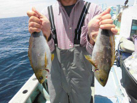 大進丸(愛知) 釣果