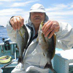 大進丸(愛知) 釣果