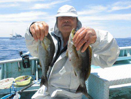 大進丸(愛知) 釣果