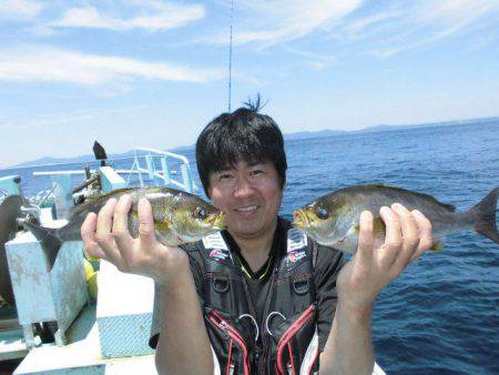 大進丸(愛知) 釣果