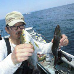 大進丸(愛知) 釣果