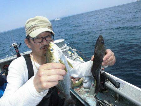 大進丸(愛知) 釣果