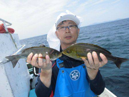 大進丸(愛知) 釣果