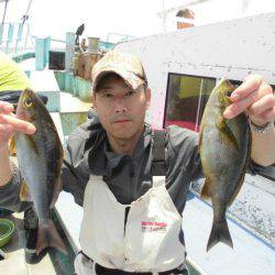 大進丸(愛知) 釣果