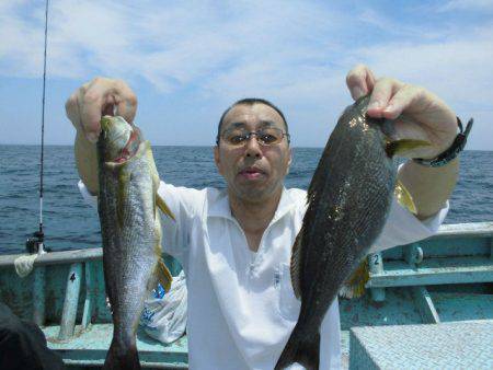 大進丸(愛知) 釣果
