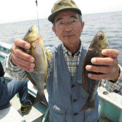 大進丸(愛知) 釣果