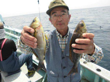 大進丸(愛知) 釣果